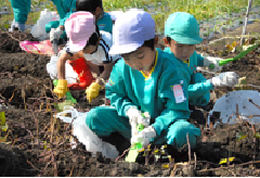 芋ほり遠足